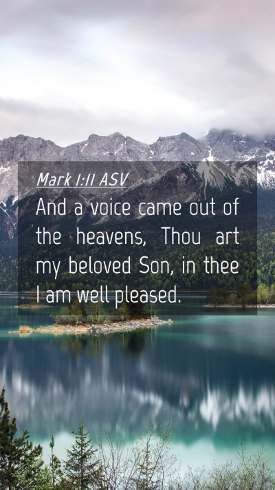 Picture 04 - Mark 1:11 ASV Mobile Phone Wallpaper - And a voice came out of the heavens, Thou art my - Mobile Bible Verse Wallpaper