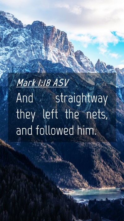 Picture 04 - Mark 1:18 ASV Mobile Phone Wallpaper - And straightway they left the nets, and followed - Mobile Bible Verse Wallpaper