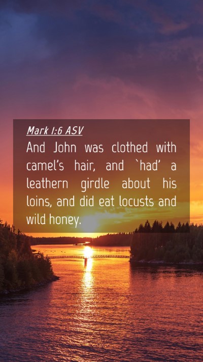 Picture 04 - Mark 1:6 ASV Mobile Phone Wallpaper - And John was clothed with camel's hair, and `had' - Mobile Bible Verse Wallpaper