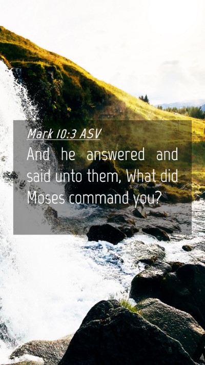 Picture 04 - Mark 10:3 ASV Mobile Phone Wallpaper - And he answered and said unto them, What did - Mobile Bible Verse Wallpaper