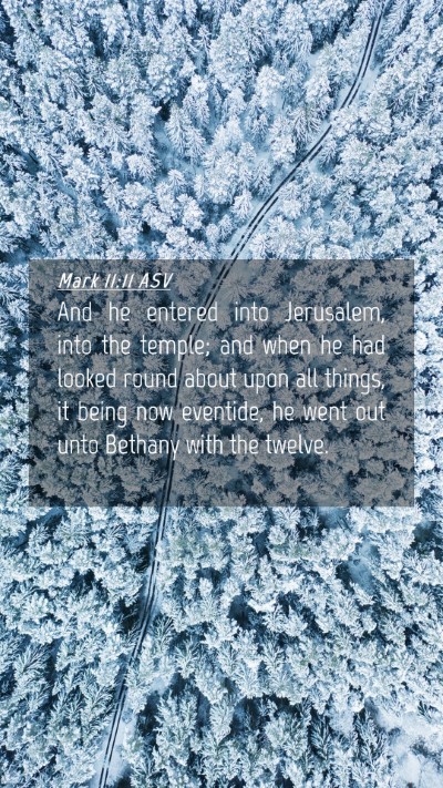 Picture 04 - Mark 11:11 ASV Mobile Phone Wallpaper - And he entered into Jerusalem, into the temple; - Mobile Bible Verse Wallpaper