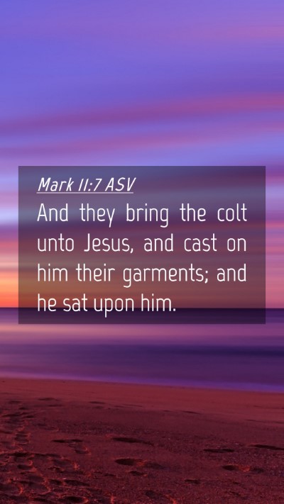 Picture 04 - Mark 11:7 ASV Mobile Phone Wallpaper - And they bring the colt unto Jesus, and cast on - Mobile Bible Verse Wallpaper