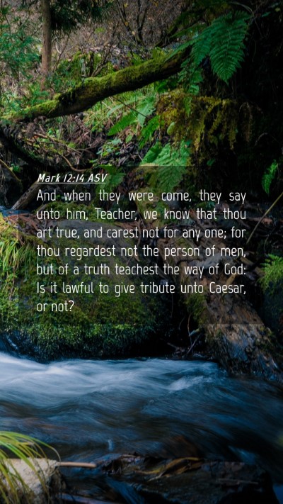 Picture 04 - Mark 12:14 ASV Mobile Phone Wallpaper - And when they were come, they say unto him, - Mobile Bible Verse Wallpaper