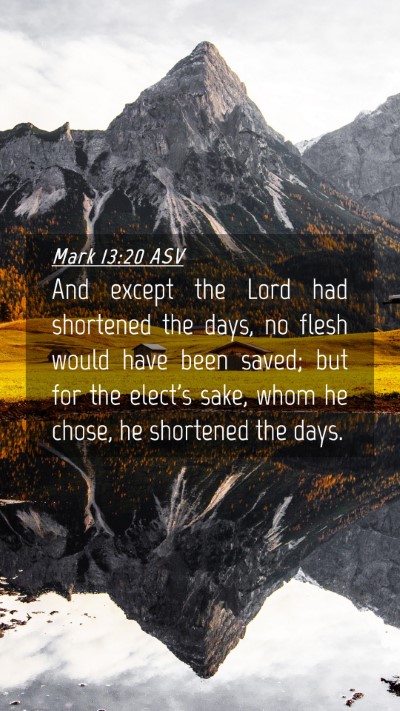 Picture 04 - Mark 13:20 ASV Mobile Phone Wallpaper - And except the Lord had shortened the days, no - Mobile Bible Verse Wallpaper
