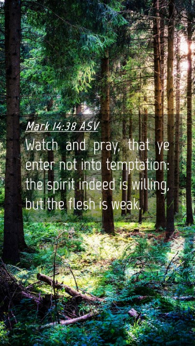Picture 04 - Mark 14:38 ASV Mobile Phone Wallpaper - Watch and pray, that ye enter not into - Mobile Bible Verse Wallpaper
