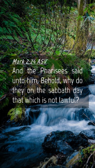Picture 04 - Mark 2:24 ASV Mobile Phone Wallpaper - And the Pharisees said unto him, Behold, why do - Mobile Bible Verse Wallpaper