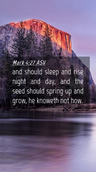 Picture 04 - Mark 4:27 ASV Mobile Phone Wallpaper - and should sleep and rise night and day, and the - Mobile Bible Verse Wallpaper