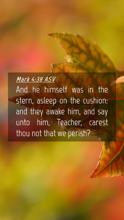 Picture 04 - Mark 4:38 ASV Mobile Phone Wallpaper - And he himself was in the stern, asleep on the - Mobile Bible Verse Wallpaper