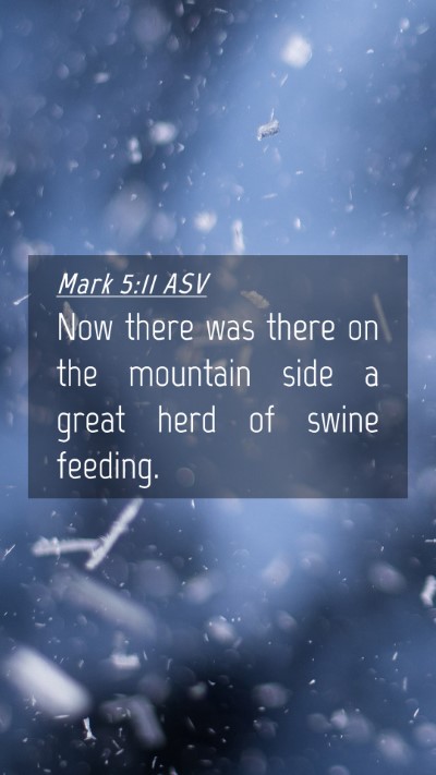 Picture 04 - Mark 5:11 ASV Mobile Phone Wallpaper - Now there was there on the mountain side a great - Mobile Bible Verse Wallpaper