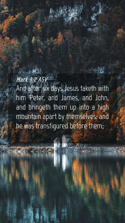 Picture 04 - Mark 9:2 ASV Mobile Phone Wallpaper - And after six days Jesus taketh with him Peter, - Mobile Bible Verse Wallpaper