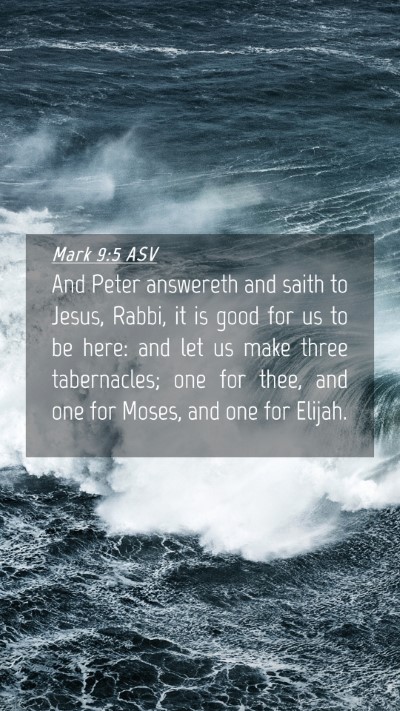 Picture 04 - Mark 9:5 ASV Mobile Phone Wallpaper - And Peter answereth and saith to Jesus, Rabbi, it - Mobile Bible Verse Wallpaper