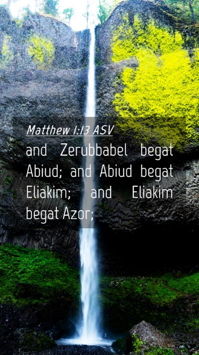 Picture 04 - Matthew 1:13 ASV Mobile Phone Wallpaper - and Zerubbabel begat Abiud; and Abiud begat - Mobile Bible Verse Wallpaper