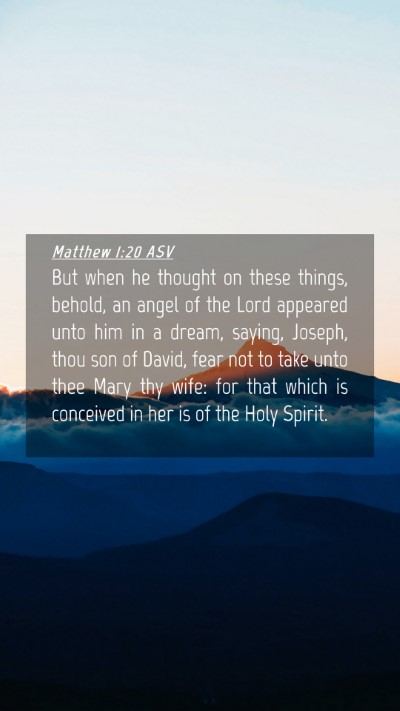 Picture 04 - Matthew 1:20 ASV Mobile Phone Wallpaper - But when he thought on these things, behold, an - Mobile Bible Verse Wallpaper