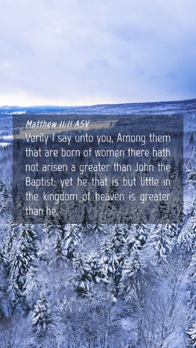 Picture 04 - Matthew 11:11 ASV Mobile Phone Wallpaper - Verily I say unto you, Among them that are born - Mobile Bible Verse Wallpaper