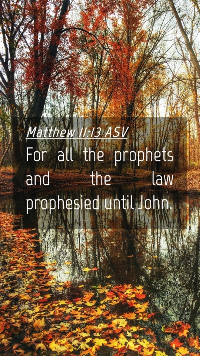 Picture 04 - Matthew 11:13 ASV Mobile Phone Wallpaper - For all the prophets and the law prophesied until - Mobile Bible Verse Wallpaper