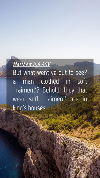 Picture 04 - Matthew 11:8 ASV Mobile Phone Wallpaper - But what went ye out to see? a man clothed in - Mobile Bible Verse Wallpaper