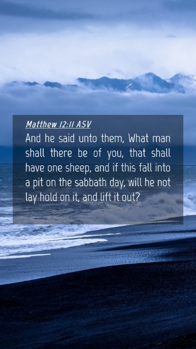 Picture 04 - Matthew 12:11 ASV Mobile Phone Wallpaper - And he said unto them, What man shall there be of - Mobile Bible Verse Wallpaper