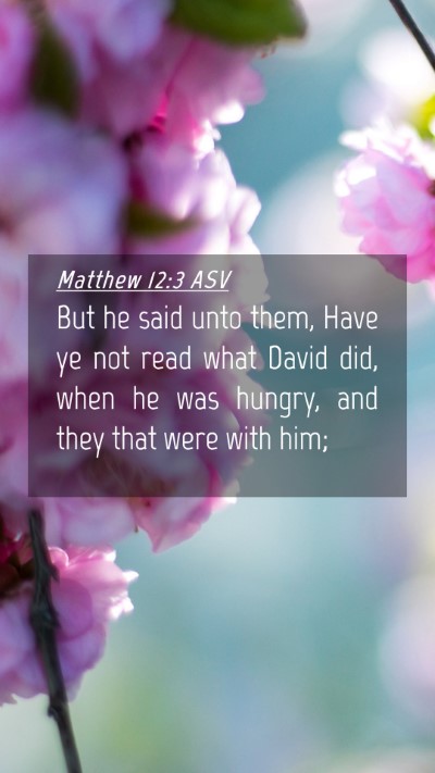 Picture 04 - Matthew 12:3 ASV Mobile Phone Wallpaper - But he said unto them, Have ye not read what - Mobile Bible Verse Wallpaper