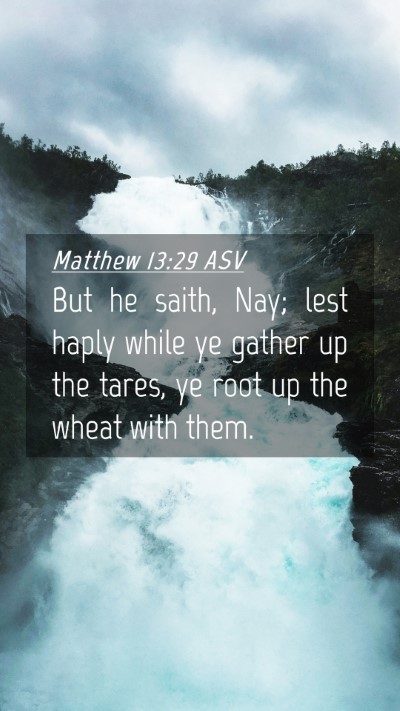 Picture 04 - Matthew 13:29 ASV Mobile Phone Wallpaper - But he saith, Nay; lest haply while ye gather up - Mobile Bible Verse Wallpaper