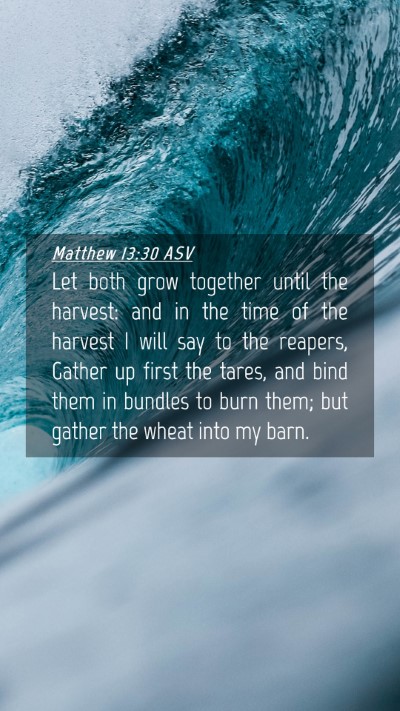 Picture 04 - Matthew 13:30 ASV Mobile Phone Wallpaper - Let both grow together until the harvest: and in - Mobile Bible Verse Wallpaper