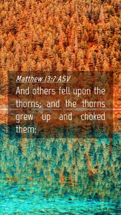 Picture 04 - Matthew 13:7 ASV Mobile Phone Wallpaper - And others fell upon the thorns; and the thorns - Mobile Bible Verse Wallpaper