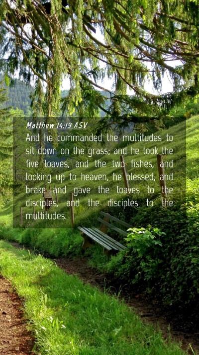 Picture 04 - Matthew 14:19 ASV Mobile Phone Wallpaper - And he commanded the multitudes to sit down on - Mobile Bible Verse Wallpaper