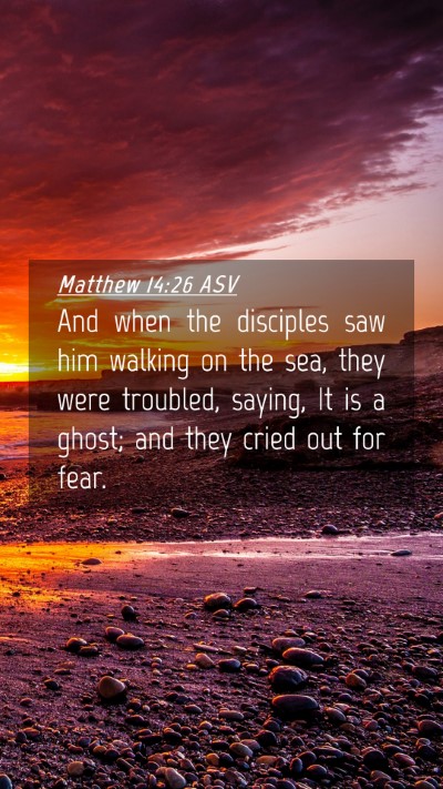 Picture 04 - Matthew 14:26 ASV Mobile Phone Wallpaper - And when the disciples saw him walking on the - Mobile Bible Verse Wallpaper