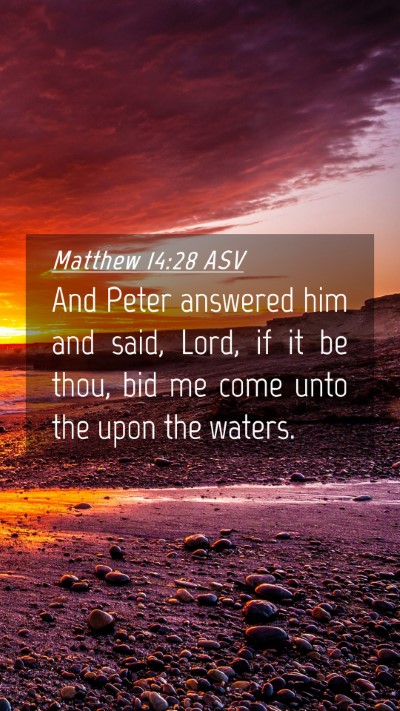 Picture 04 - Matthew 14:28 ASV Mobile Phone Wallpaper - And Peter answered him and said, Lord, if it be - Mobile Bible Verse Wallpaper