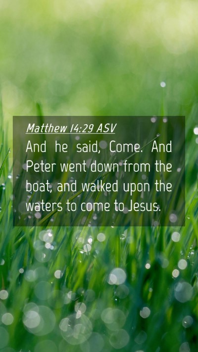Picture 04 - Matthew 14:29 ASV Mobile Phone Wallpaper - And he said, Come. And Peter went down from the - Mobile Bible Verse Wallpaper