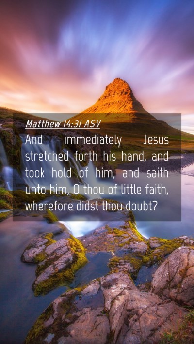 Picture 04 - Matthew 14:31 ASV Mobile Phone Wallpaper - And immediately Jesus stretched forth his hand, - Mobile Bible Verse Wallpaper