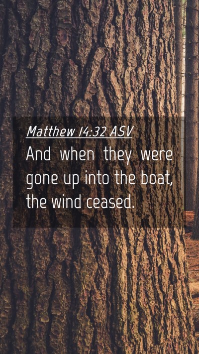Picture 04 - Matthew 14:32 ASV Mobile Phone Wallpaper - And when they were gone up into the boat, the - Mobile Bible Verse Wallpaper