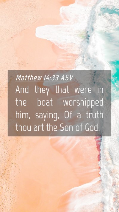 Picture 04 - Matthew 14:33 ASV Mobile Phone Wallpaper - And they that were in the boat worshipped him, - Mobile Bible Verse Wallpaper