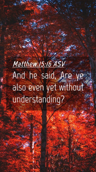 Picture 04 - Matthew 15:16 ASV Mobile Phone Wallpaper - And he said, Are ye also even yet without - Mobile Bible Verse Wallpaper