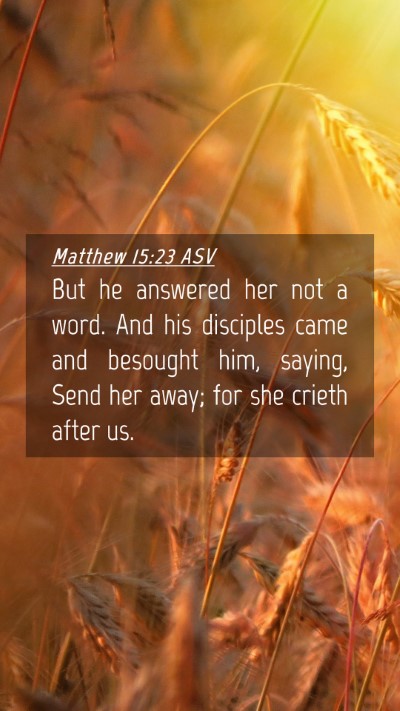 Picture 04 - Matthew 15:23 ASV Mobile Phone Wallpaper - But he answered her not a word. And his disciples - Mobile Bible Verse Wallpaper