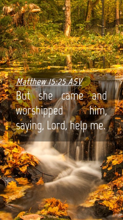 Picture 04 - Matthew 15:25 ASV Mobile Phone Wallpaper - But she came and worshipped him, saying, Lord, - Mobile Bible Verse Wallpaper