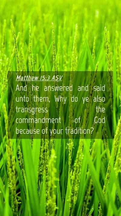 Picture 04 - Matthew 15:3 ASV Mobile Phone Wallpaper - And he answered and said unto them, Why do ye - Mobile Bible Verse Wallpaper