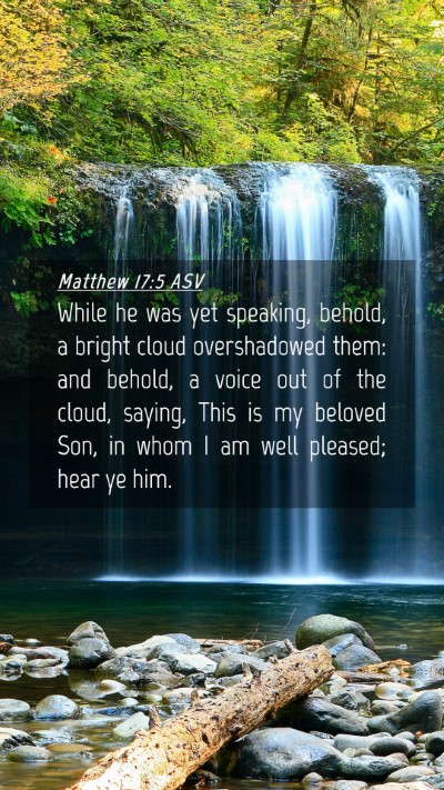 Picture 04 - Matthew 17:5 ASV Mobile Phone Wallpaper - While he was yet speaking, behold, a bright cloud - Mobile Bible Verse Wallpaper