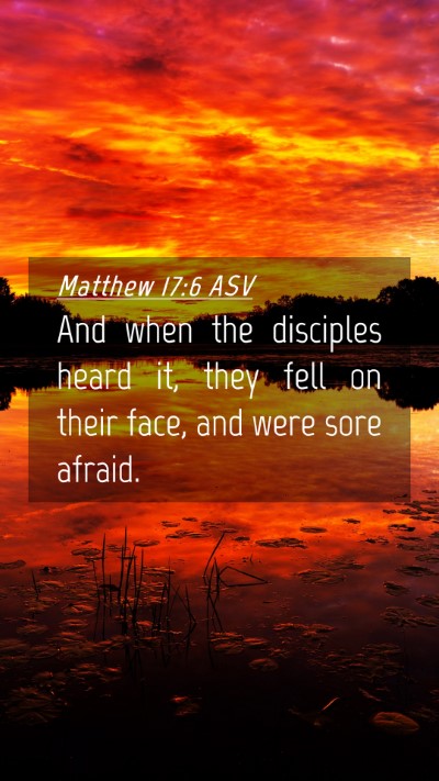 Picture 04 - Matthew 17:6 ASV Mobile Phone Wallpaper - And when the disciples heard it, they fell on - Mobile Bible Verse Wallpaper