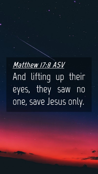 Picture 04 - Matthew 17:8 ASV Mobile Phone Wallpaper - And lifting up their eyes, they saw no one, save - Mobile Bible Verse Wallpaper