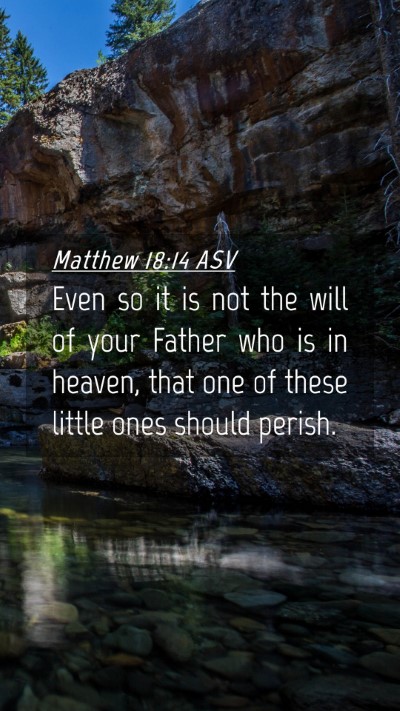 Picture 04 - Matthew 18:14 ASV Mobile Phone Wallpaper - Even so it is not the will of your Father who is - Mobile Bible Verse Wallpaper