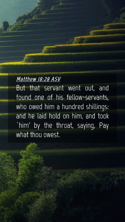 Picture 04 - Matthew 18:28 ASV Mobile Phone Wallpaper - But that servant went out, and found one of his - Mobile Bible Verse Wallpaper