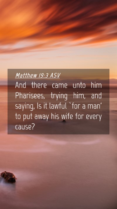 Picture 04 - Matthew 19:3 ASV Mobile Phone Wallpaper - And there came unto him Pharisees, trying him, - Mobile Bible Verse Wallpaper