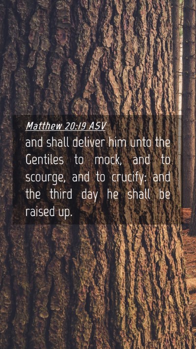 Picture 04 - Matthew 20:19 ASV Mobile Phone Wallpaper - and shall deliver him unto the Gentiles to mock, - Mobile Bible Verse Wallpaper