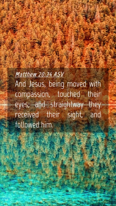 Picture 04 - Matthew 20:34 ASV Mobile Phone Wallpaper - And Jesus, being moved with compassion, touched - Mobile Bible Verse Wallpaper