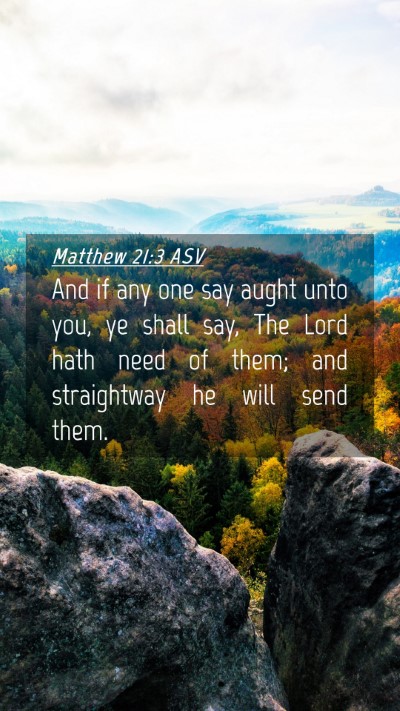 Picture 04 - Matthew 21:3 ASV Mobile Phone Wallpaper - And if any one say aught unto you, ye shall say, - Mobile Bible Verse Wallpaper