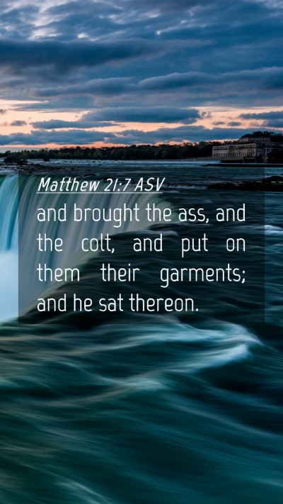 Picture 04 - Matthew 21:7 ASV Mobile Phone Wallpaper - and brought the ass, and the colt, and put on - Mobile Bible Verse Wallpaper