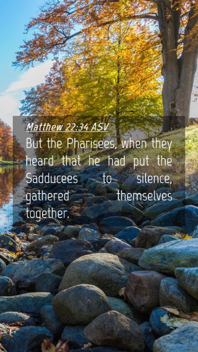 Picture 04 - Matthew 22:34 ASV Mobile Phone Wallpaper - But the Pharisees, when they heard that he had - Mobile Bible Verse Wallpaper