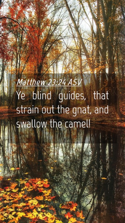 Picture 04 - Matthew 23:24 ASV Mobile Phone Wallpaper - Ye blind guides, that strain out the gnat, and - Mobile Bible Verse Wallpaper