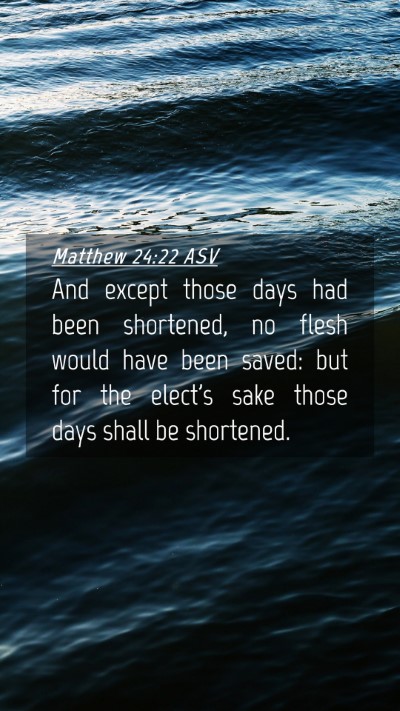 Picture 04 - Matthew 24:22 ASV Mobile Phone Wallpaper - And except those days had been shortened, no - Mobile Bible Verse Wallpaper