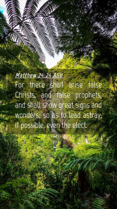 Picture 04 - Matthew 24:24 ASV Mobile Phone Wallpaper - For there shall arise false Christs, and false - Mobile Bible Verse Wallpaper
